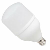 Светодиодная лампа In Led GF-BU004-005-3 e27 36w 12-24-36-48-60-85V AC/DC (5800-6500 К), шт