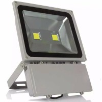 Светодиодный прожектор низковольтный In Led cob 100w 12 - 36V AC/DC (5800-6500 К), шт