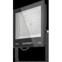 Светильник ОНЛАЙТ 61 947 OFL-100-4K-BL-IP65-LED