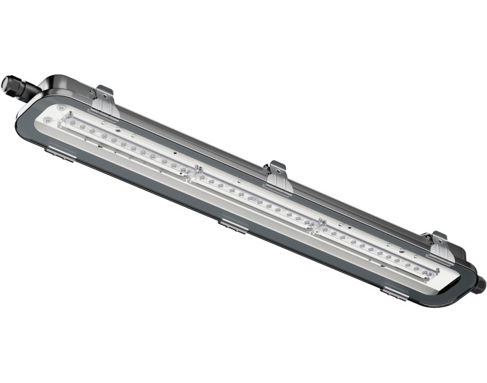 Светильник INNOLUX 72 267 ДСП-103-21-С-18-600-5К-IP67