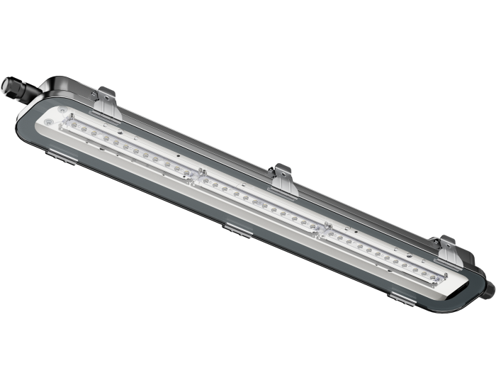 Светильник INNOLUX 72 273 ДСП-103-21-С-30-600-5К-IP67