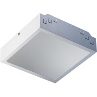 Светильник INNOLUX 72 816 ДВО-ГД01-1-О-30-200-5К-IP54