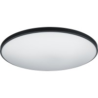 Светильник Navigator 95 852 NLF-C-030-02 (черн., 260мм, 24Вт)